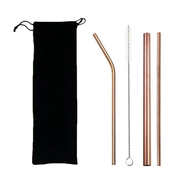 EcoSip Reusable Stainless Steel Straw Kit