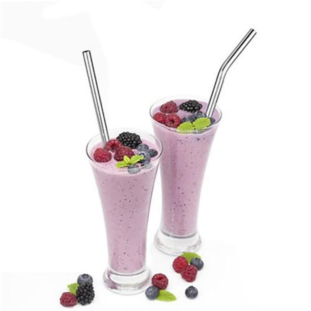 EcoSip Reusable Stainless Steel Straw Kit