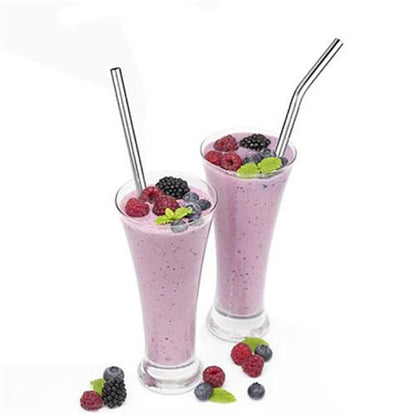 EcoSip Reusable Stainless Steel Straw Kit