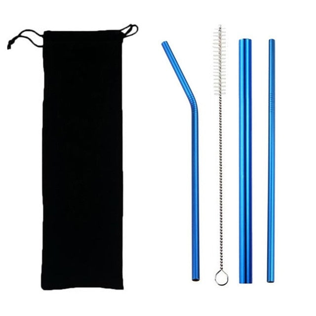 EcoSip Reusable Stainless Steel Straw Kit