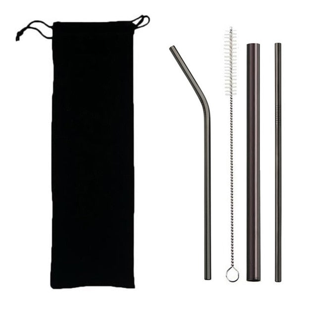 EcoSip Reusable Stainless Steel Straw Kit