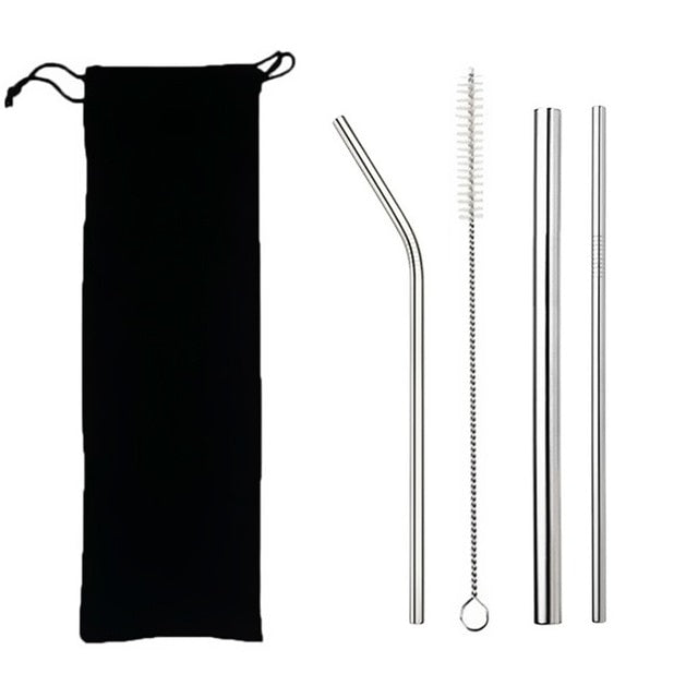 EcoSip Reusable Stainless Steel Straw Kit