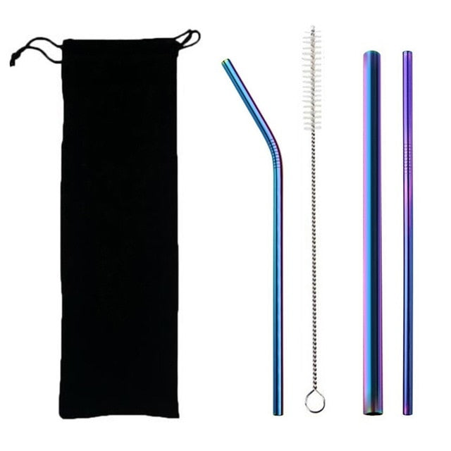 EcoSip Reusable Stainless Steel Straw Kit